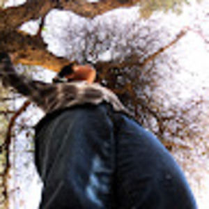 Meet your Posher, Aldo